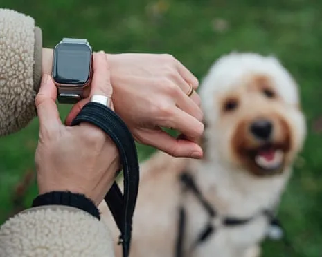 The Reality About Fitness Trackers? Life Improves Lacking a Nagging Zealot on Your Arm